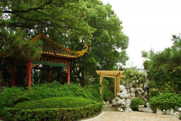 如何讓土地“變肥”，讓樹苗“夠吃”？