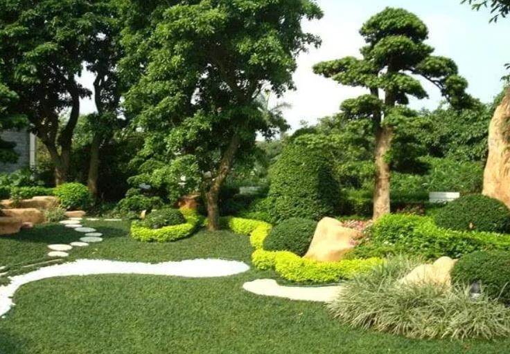 園林景觀設(shè)計之植物墻設(shè)計在哪些地方適合？